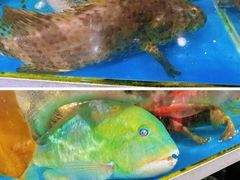 -四川小胡子海鲜(丁村万人海鲜广场店)