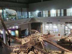 -自贡恐龙博物馆