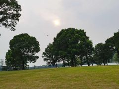 -上海月湖雕塑公园