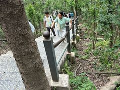-紫金山山顶公园