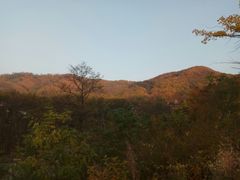 -丹东市五龙山风景区