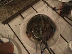 -芭提雅Amporn Seafood自助餐厅