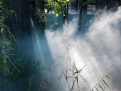 -东湖落雁景区
