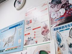 -达爱动物医院·犬猫分区·CT·复杂眼科(远洋山水分院)