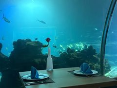 -海棠湾洲际-涛·海底餐厅·美人鱼·自助餐·海底隧道