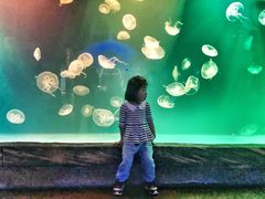 -华夏文旅海洋公园