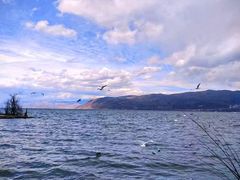 -大理洱海