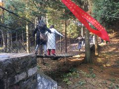 -四明山国家森林公园