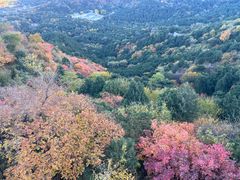 -香山公园