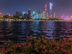 -珠江夜游广州塔·中大码头