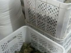 android_upload_pic-璐坊粽王(复兴中路店)