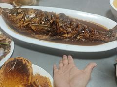 -金台阶鱼馆(于桥水库店)