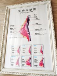 -成都伊贝丝美容美胸SPA会所