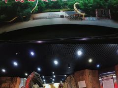 -中国西峡恐龙遗迹园