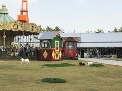 -栖露营camping·天幕烧烤·团建拓展·采摘营地