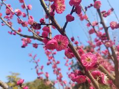 -南京珍珠泉风景区