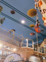 -卡通尼·Safari非洲探索乐园·生日会(金桥国际商业广场店)