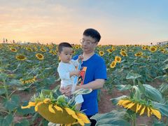 -光明小镇欢乐田园