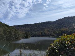 -桃花岭景区