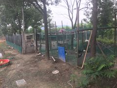 -呼吸森林·生态农庄农家乐私房菜