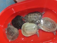 -新农都水产市场