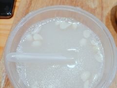 -海丝金凤(金鱼店)