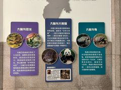 -成都动物园