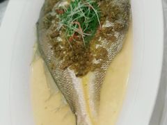 雪菜蒸野生大黄鱼-麟1929(外滩店)