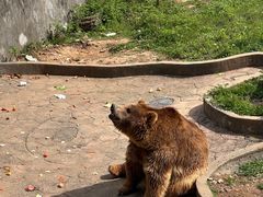 -无锡动物园·太湖欢乐园