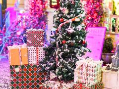 -华谊兄弟（长沙）电影小镇