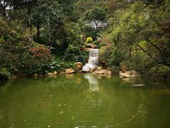 -广州市帽峰山景区