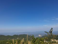 -武陵山森林公园