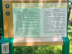 -玲珑塔公园