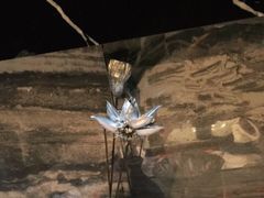 -红辣椒·川菜·火锅(张杨路店)