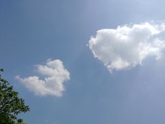 -东天目山风景区