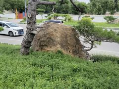 -罗红摄影艺术馆