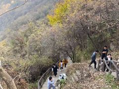 -秦岭终南山世界地质公园翠华山景区
