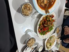 -煲来饱去冷水鱼