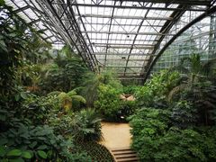 -南山植物园