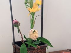 -梅间堂茶馆(绿地缤纷城店)