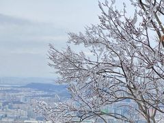 -紫金山山顶公园