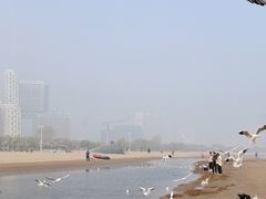 -金梦海湾浴场
