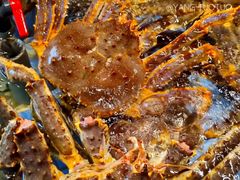 -高佳庄·舟山海鲜(海景旗舰店)