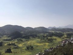 -牛街螺丝田