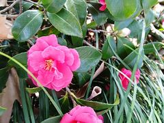 -白塘生态植物园