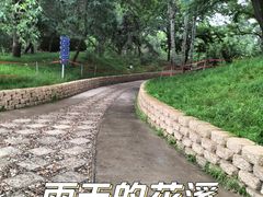 -海棠花溪(元大都城垣遗址公园)