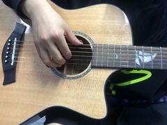 -大象音乐·吉他·架子鼓·声乐(双井店)
