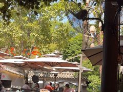 -鹅滋道(甘坑古镇店)