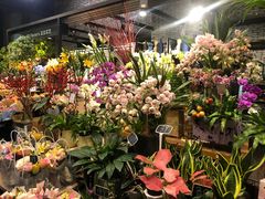 -豆豆花艺(新光天地店)