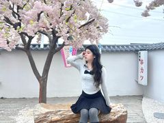 -Pink Me粉我·咖啡&摄影基地